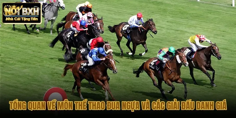 tong-quan-ve-mon-the-thao-dua-ngua-va-cac-giai-dau-danh-gia tong-quan-ve-mon-the-thao-dua-ngua-va-cac-giai-dau-danh-gia